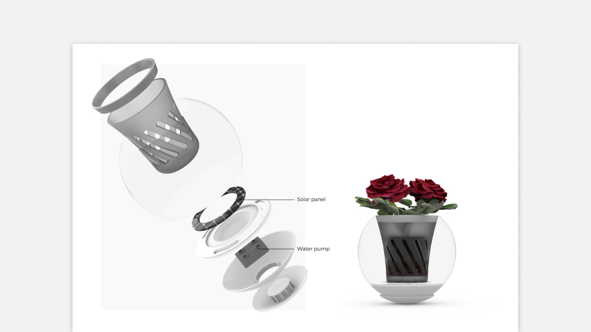 Living Bubbles structure